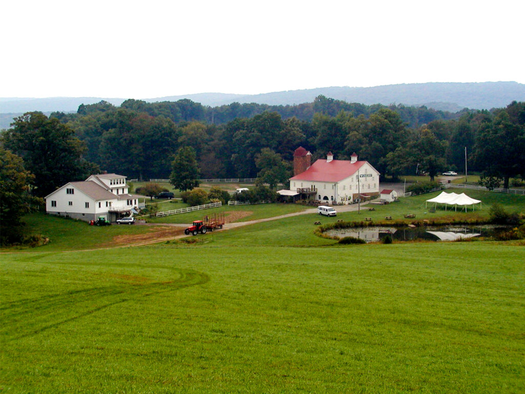 authentic vineyard bridal shower venue