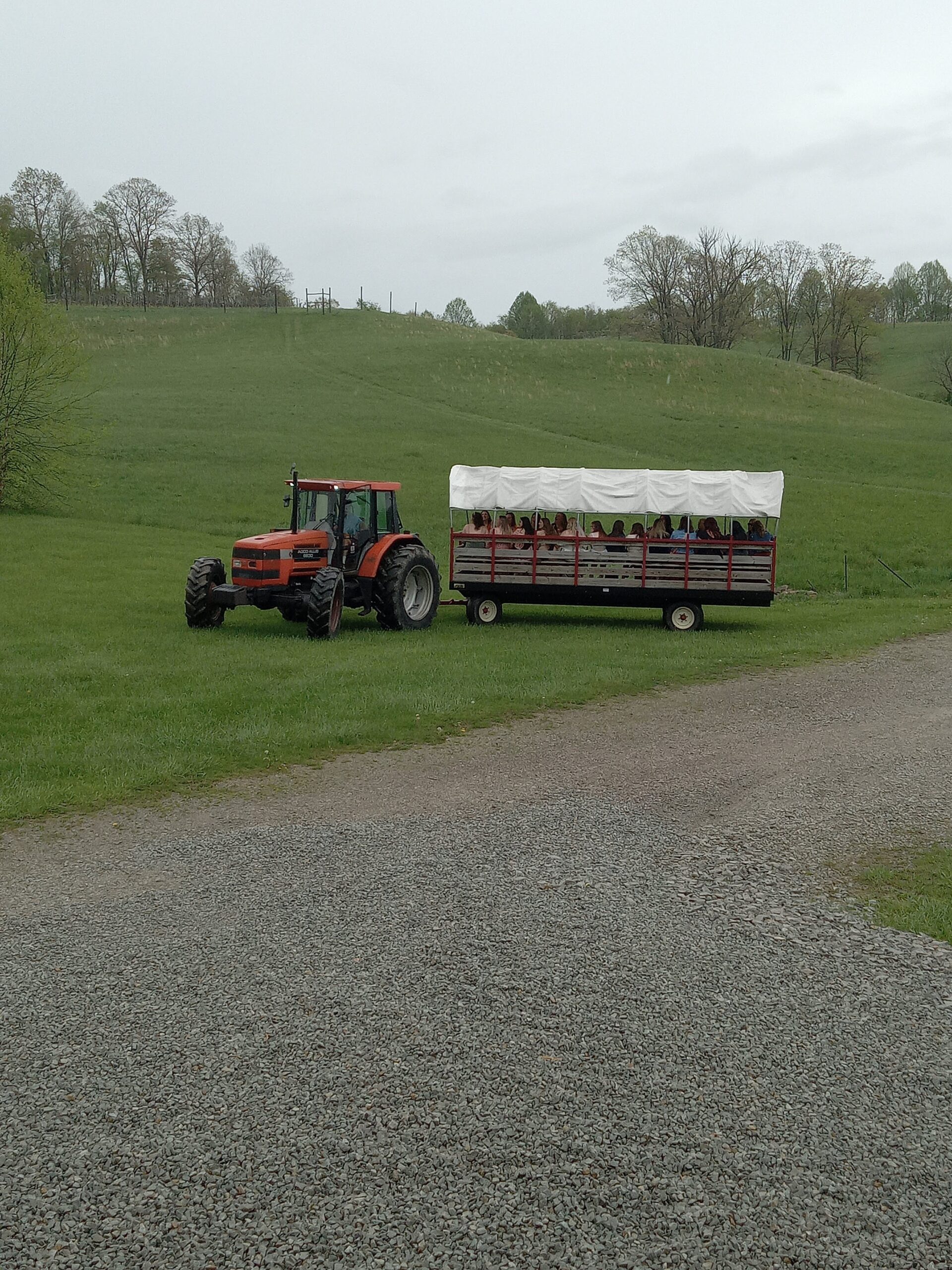 vineyard tour